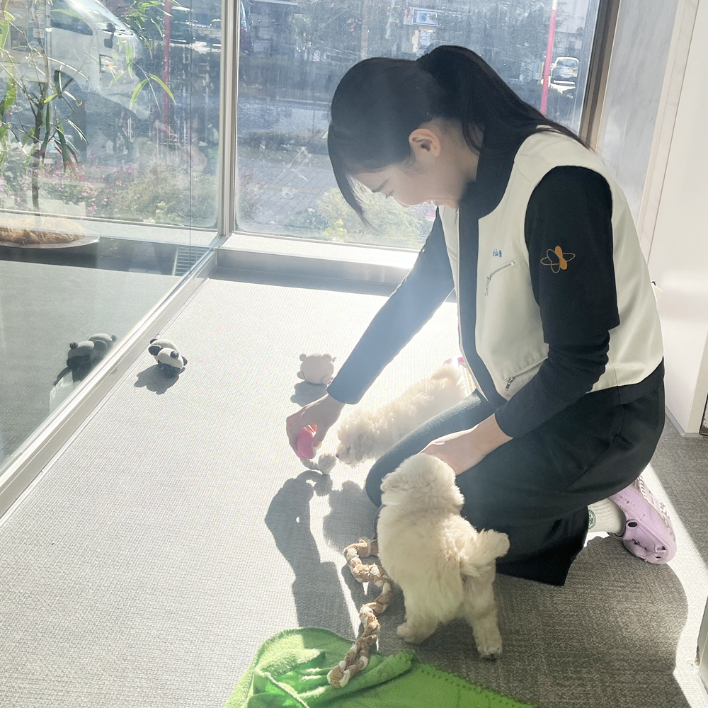 ２年生のペットショップ実習